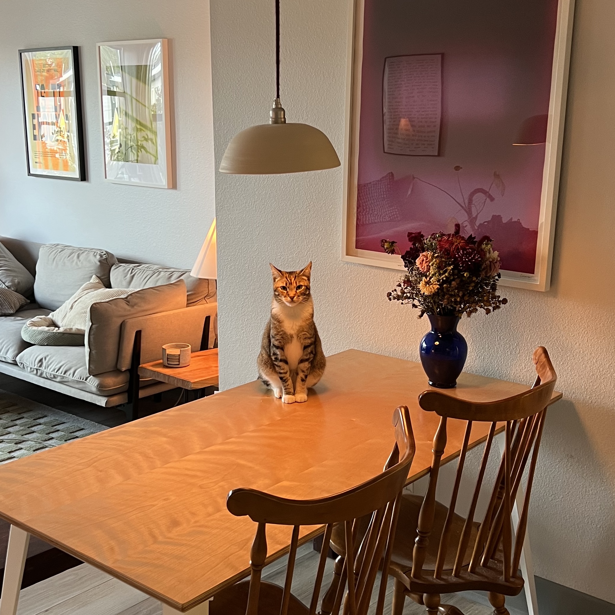 a pendant lamp for my dining table